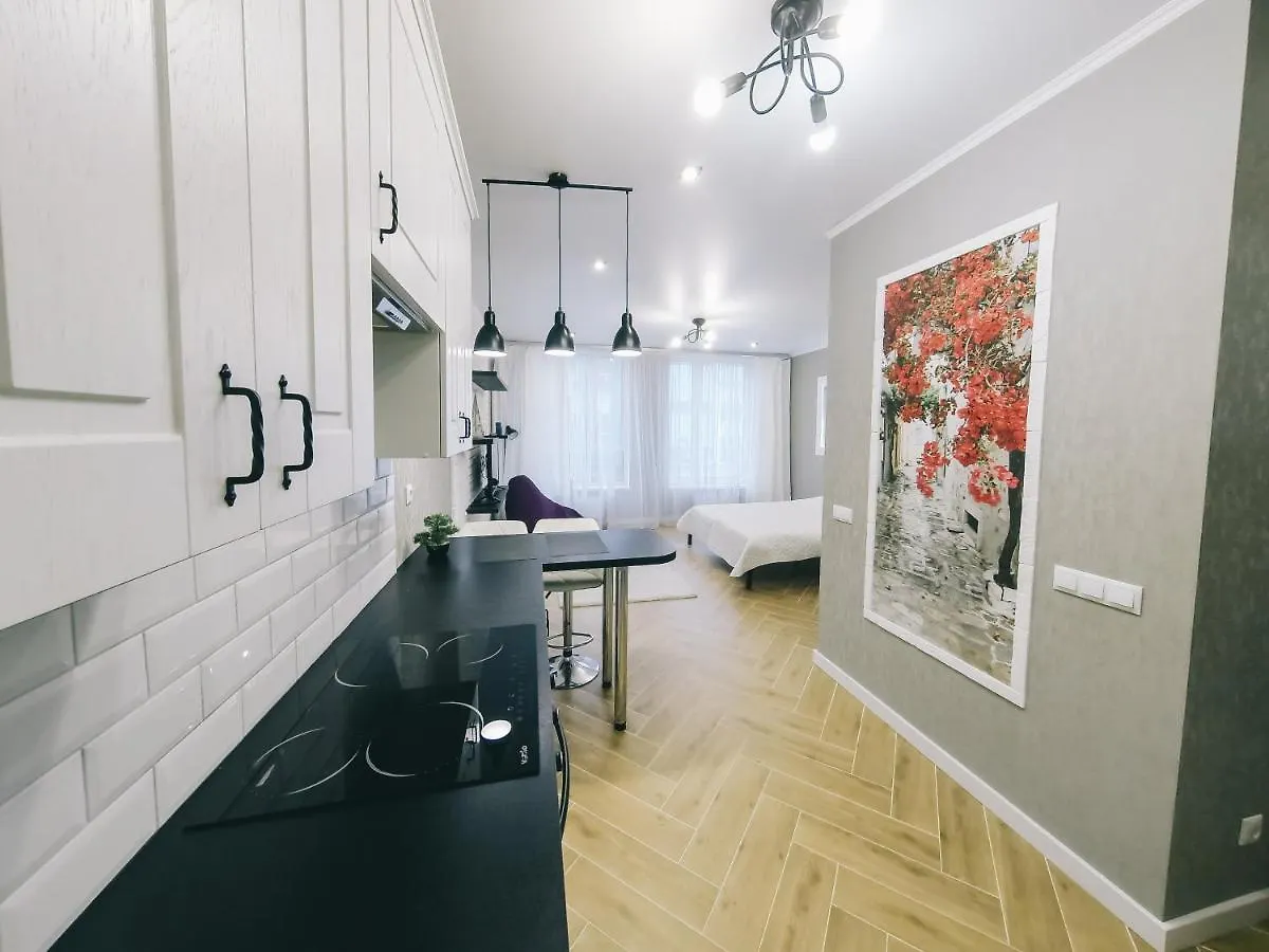 Daily Rent Of Luxury Apartments In Kiev Kyiv